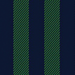 Navy Blue and Green