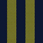 Navy Blue and Yellow