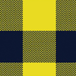 Yellow and Navy Blue